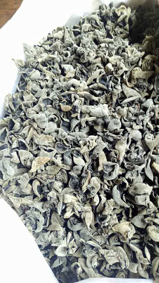 合肥黑木耳批發  椴木黑木耳干貨