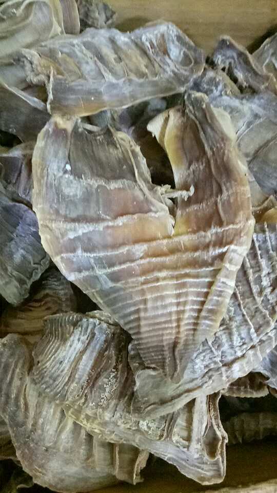 安徽野生筍尖批發