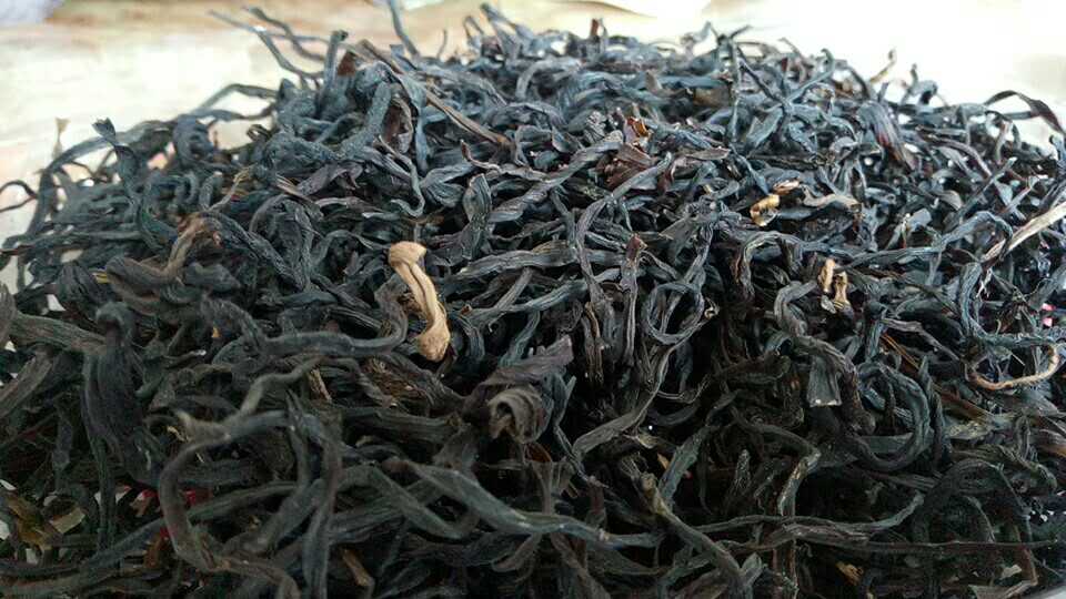 安徽郎菜批發商   優質山野菜加工廠家 郎菜價格