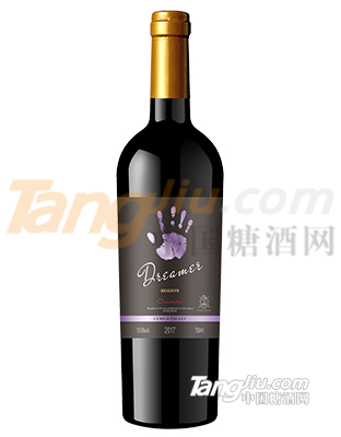 智利夢想者系列 (2).jpg 智利夢想者系列 (2).jpg