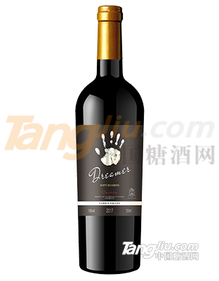 智利夢想者系列 (3).jpg 智利夢想者系列 (3).jpg