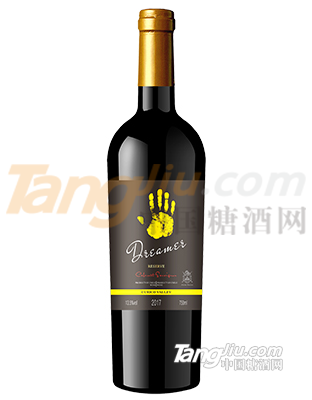 智利夢想者系列 (4).jpg 智利夢想者系列 (4).jpg