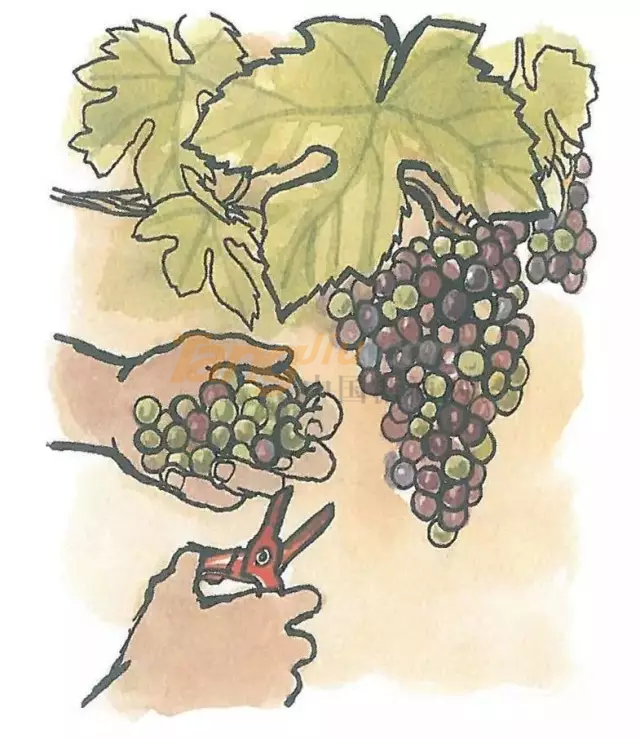 image001.png image001.png