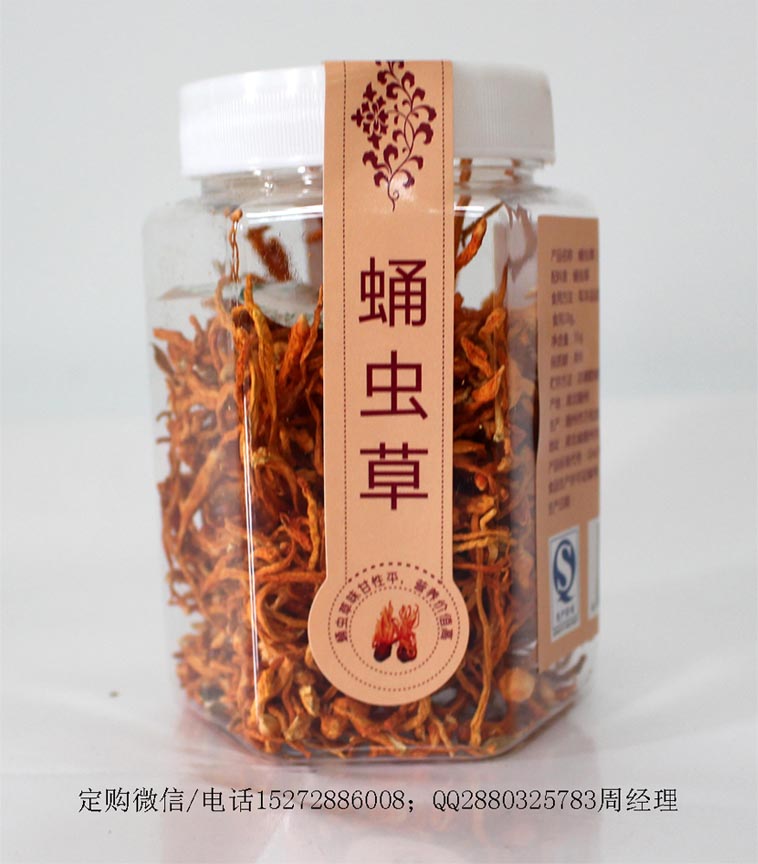 蛹蟲草(花草茶)瓶裝100瓶/箱湖北隨州萬松堂生產