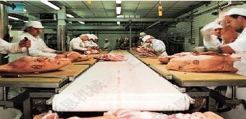 供應各行各業流水線輸送及配件