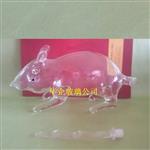 供應十二生肖玻璃鼠酒瓶創意生肖鼠工藝酒瓶高鵬硅酒瓶