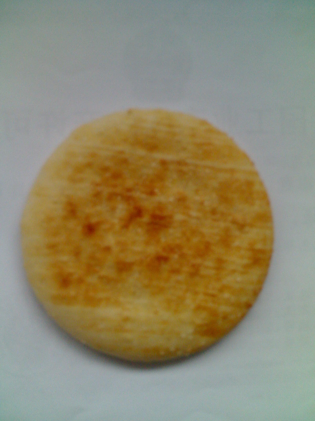 提供蛋奶餅生產(chǎn)技術(shù)