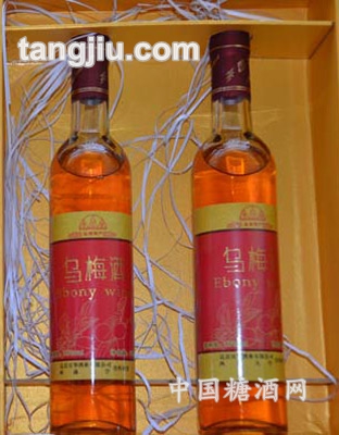 烏梅酒內裝新型