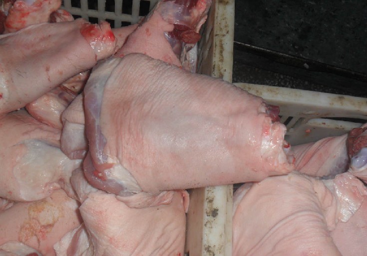 河南批發(fā)進口肘子，進口豬后腿，冰豬肚的價格