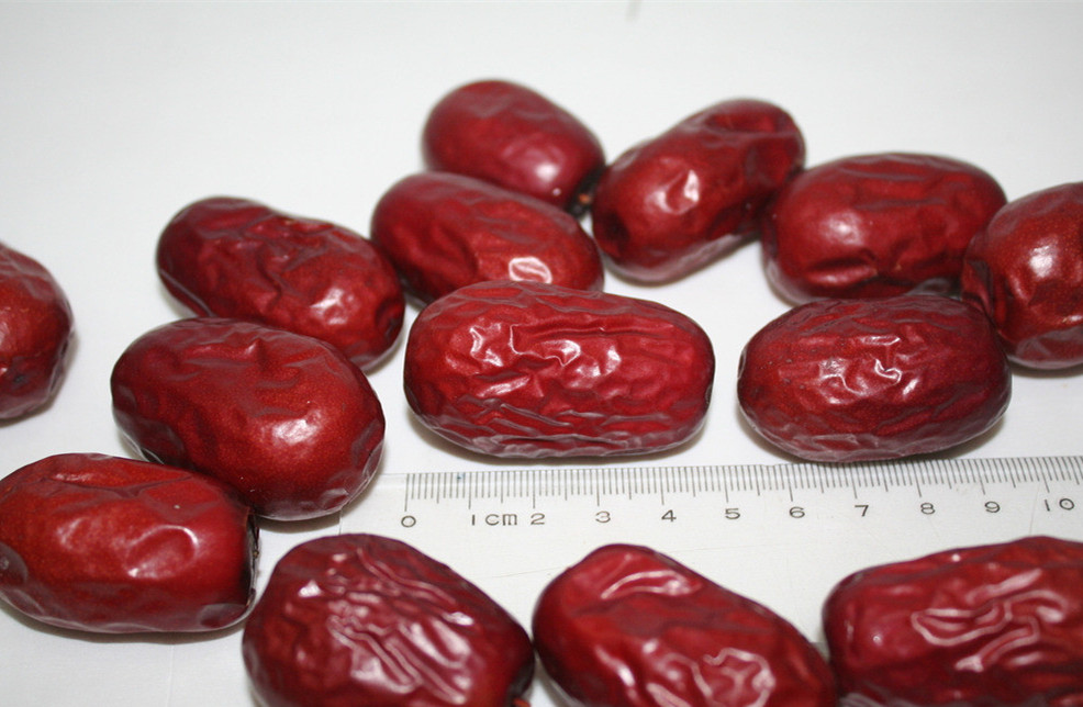 �½������ɽ�|�S�����l