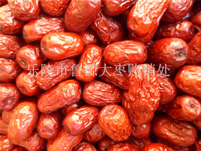 ɽ�|�\����Ǽ�t��������