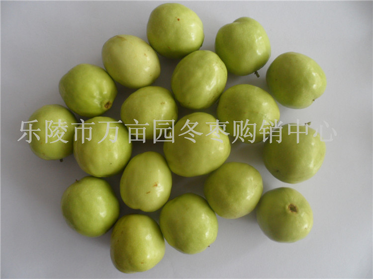 ɽ|r(yng) جF(xin)ժ