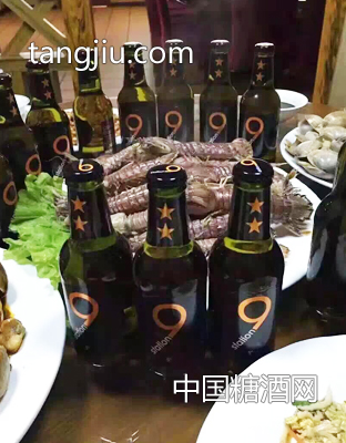 荷蘭原裝原瓶進口獅得森啤酒6