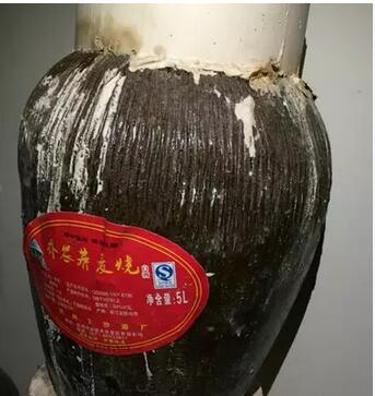 杭州蕎麥燒酒喬農下沙酒廠產蕎麥酒批發10斤裝