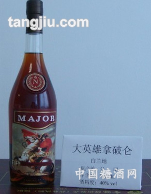 ��Ӣ�����Ɓ����m��700ml