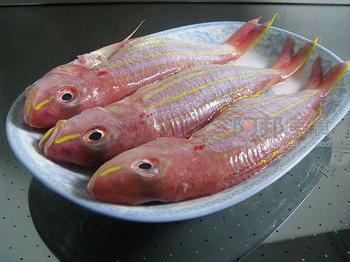 批發冷凍鮮金線魚 雪魚片 凍兔子