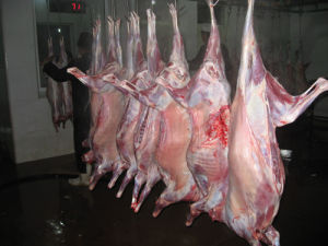 南充批發羊鞭 羊拐骨 羊舌