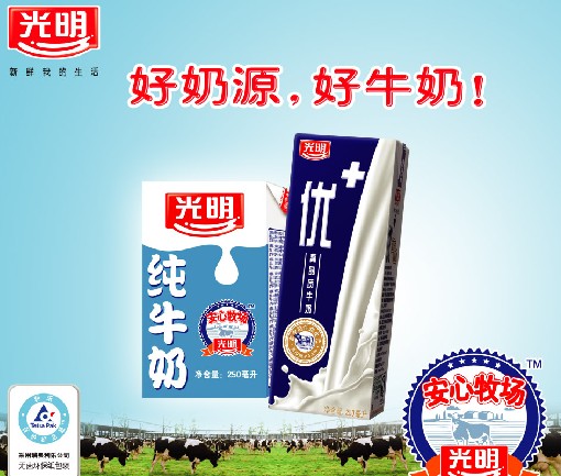 供應批發光明牛奶 光明酸奶 光明暢優