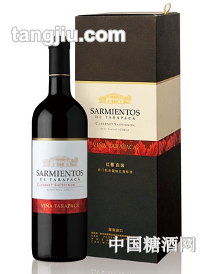 �_�T�г�ϼ��t���Ѿ�