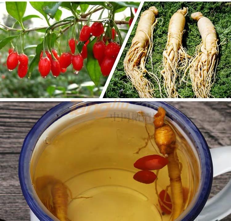 茶缸人參酒 (3).jpg 茶缸人參酒 (3).jpg