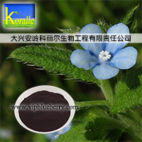 供應廠家直供 天然色素 紫草素