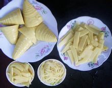 供應甜龍竹筍 甜竹筍 筍中