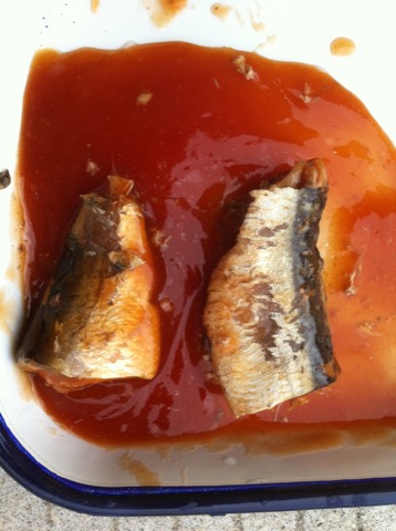 供應番茄醬，魚，玉米，蘑菇罐頭