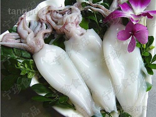 供應進口魷魚 魷魚須 魷魚頭 魷魚嘴 魷魚排 魷魚片