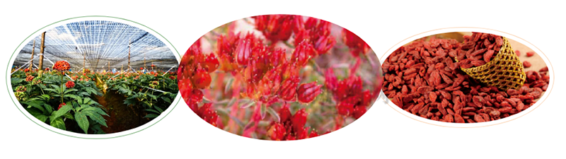 640 (1).png 640 (1).png