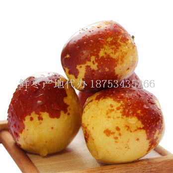 優質山東冬棗產地批發商