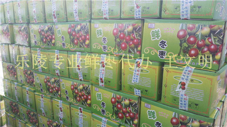 ɽ�|������r�����l