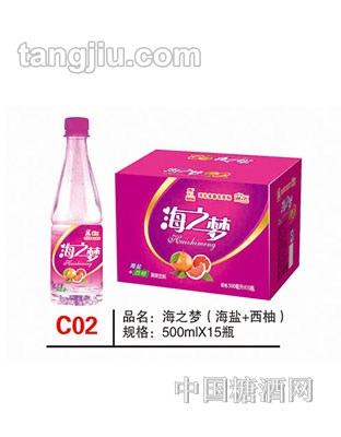 C02 品名:海之夢(海鹽+西柚) 規(guī)格:500mlx15瓶