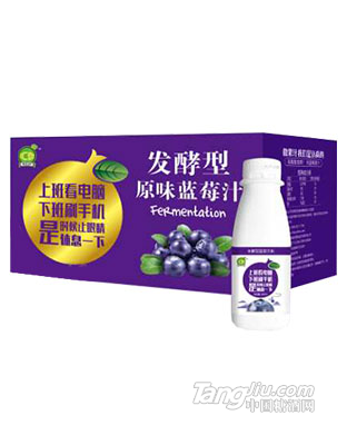 匯戀-發酵型-原味藍莓汁