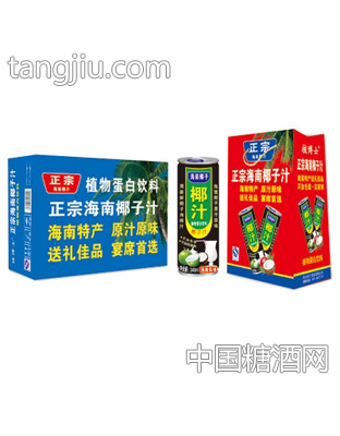 正宗海南椰子汁植物蛋白飲料