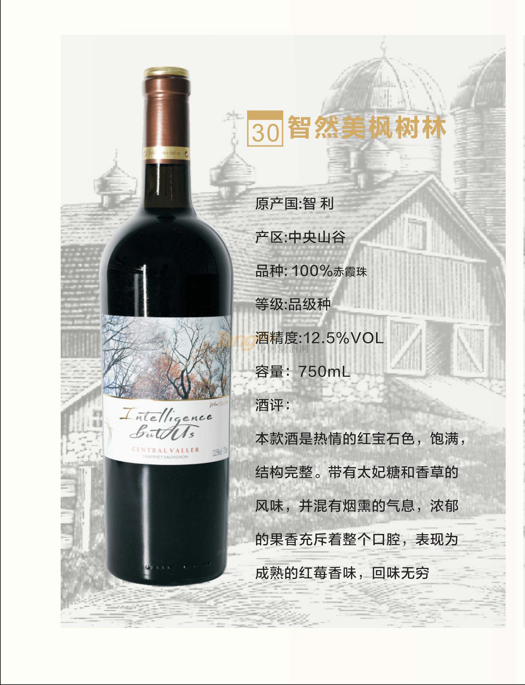 智然美楓樹林產品介紹.jpg 智然美楓樹林產品介紹.jpg