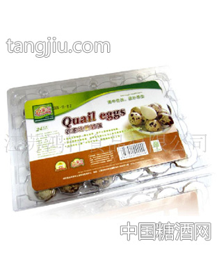農家坊鵪鶉蛋24枚