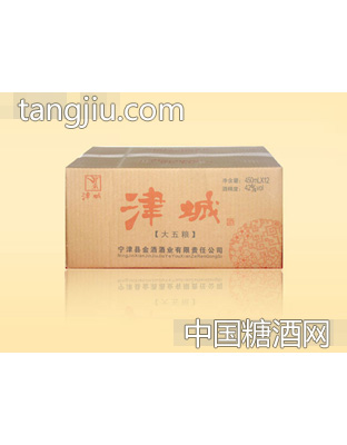 津城42度大五糧