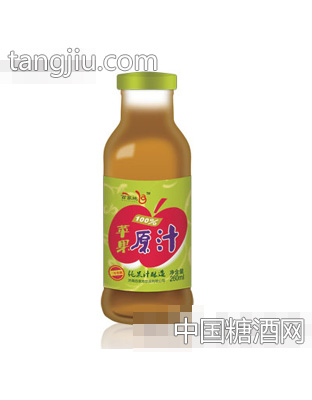 蘋果原汁260ml