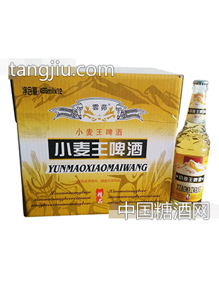 小麥王啤酒精品