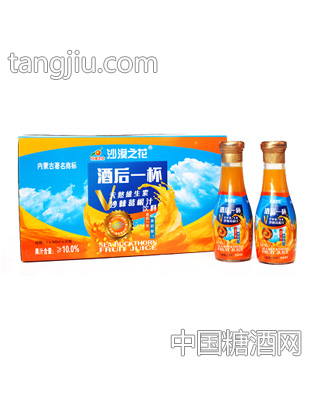 沙漠之花天然維生素沙棘葛根汁飲料300mlx20