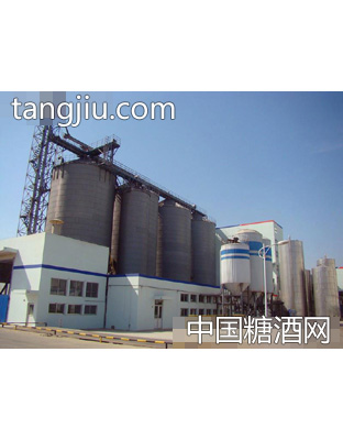 泰山啤酒廠區(泰安)廠房