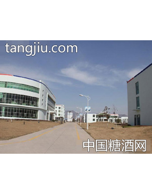 泰山啤酒廠區(泰安)道路