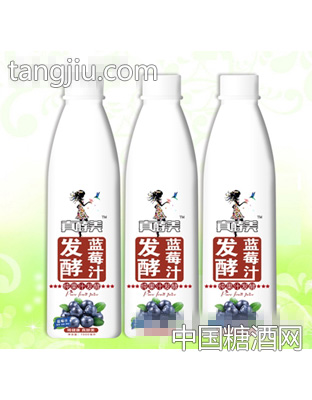 真酵美發酵藍莓汁1000毫升
