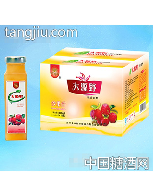 大源野果汁飲料沙果汁330ml×12瓶