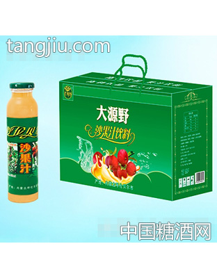 大源野果汁飲料沙果汁禮盒300ml×8瓶