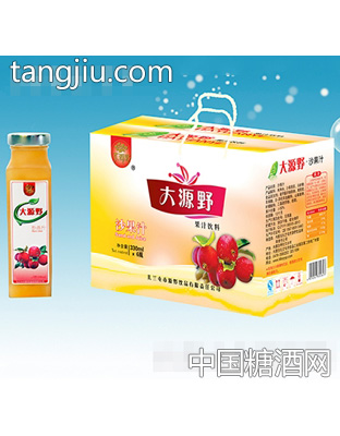 大源野果汁飲料沙果汁禮盒300ml×6瓶