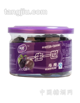 發吧-一生一世烏梅120g-長瓶裝