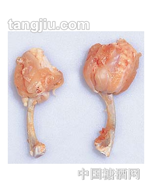 �u��-����������