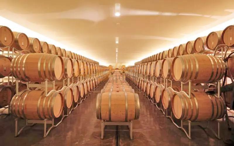 珠海尼維國際貿易有限公司 (13).jpg 珠海尼維國際貿易有限公司 (13).jpg