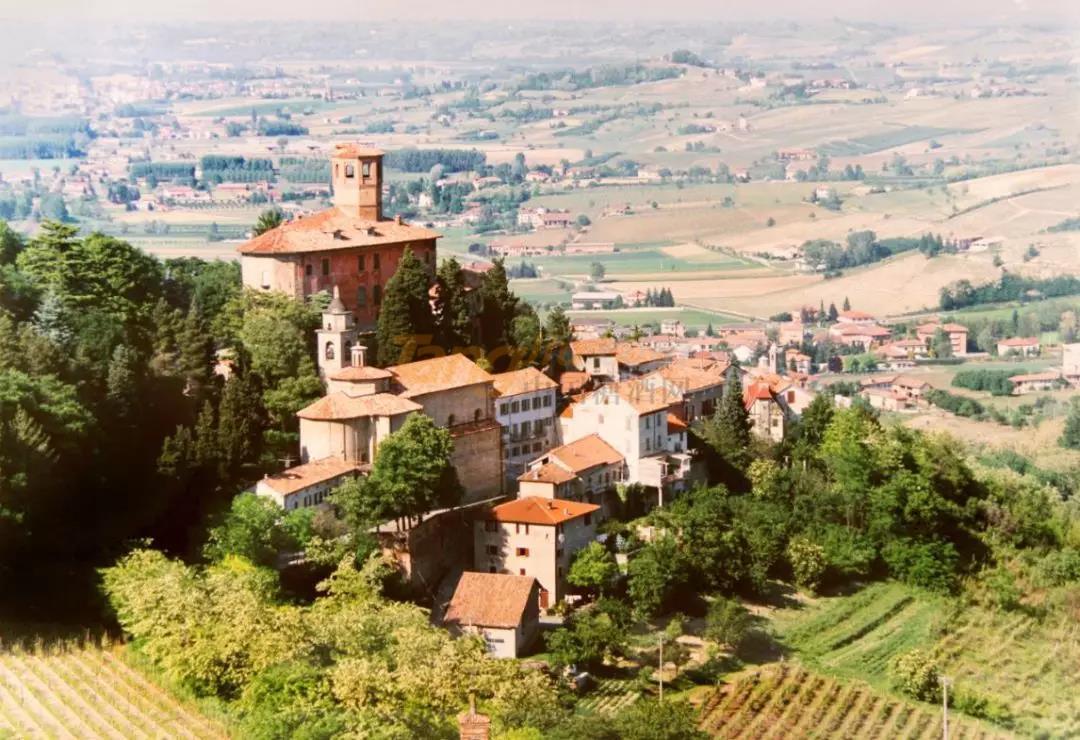 珠海尼維國際貿易有限公司 (14).jpg 珠海尼維國際貿易有限公司 (14).jpg